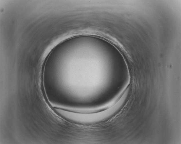 X0000085231512200703231545