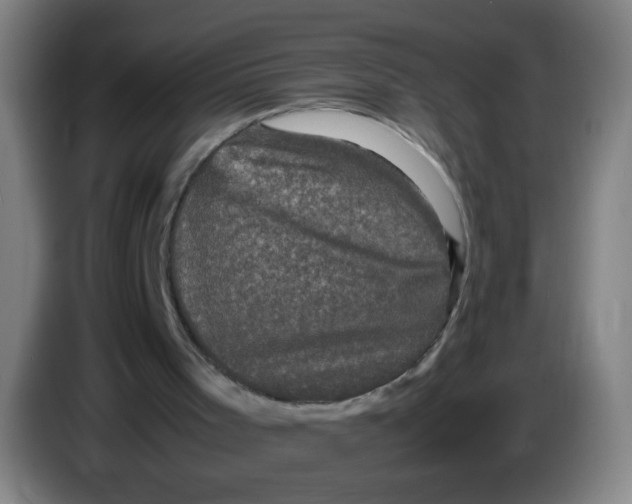 X0000085230001200703301736