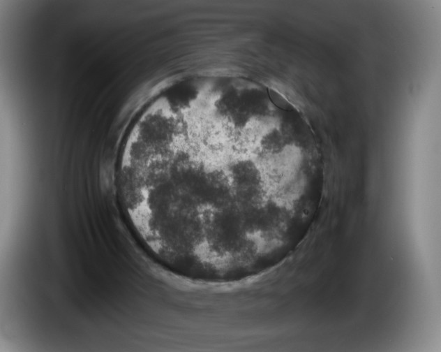 X0000085230002200703301736