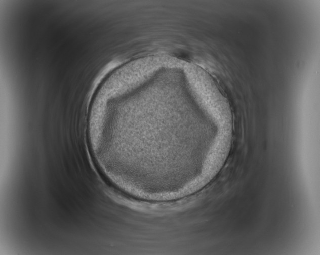 X0000085230003200703301736