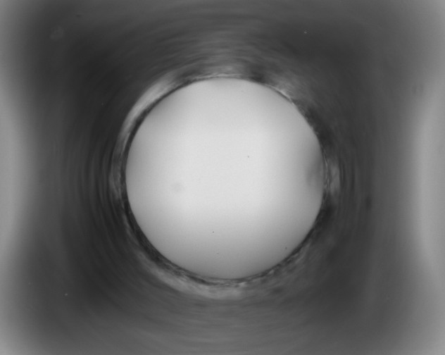 X0000085230004200703301736