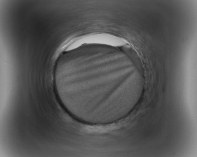 X0000085230005200703301735