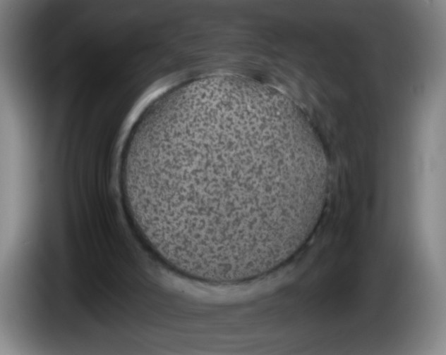 X0000085230006200703301735