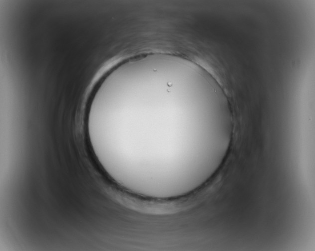 X0000085230008200703301735