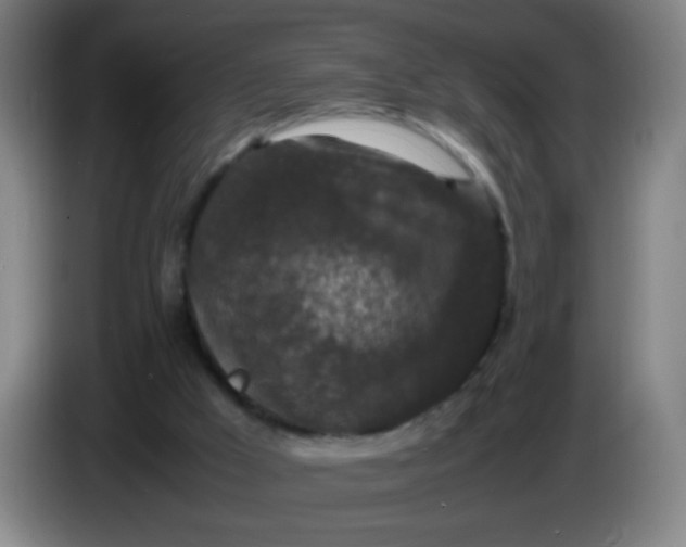 X0000085230009200703301735