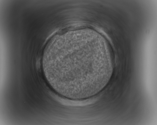X0000085230010200703301735
