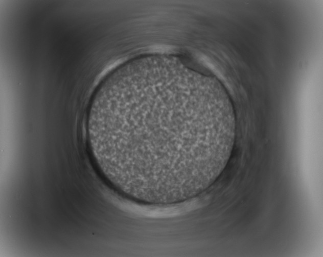 X0000085230011200703301735