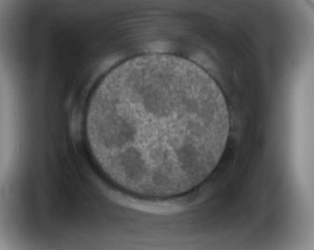 X0000085230012200703301735