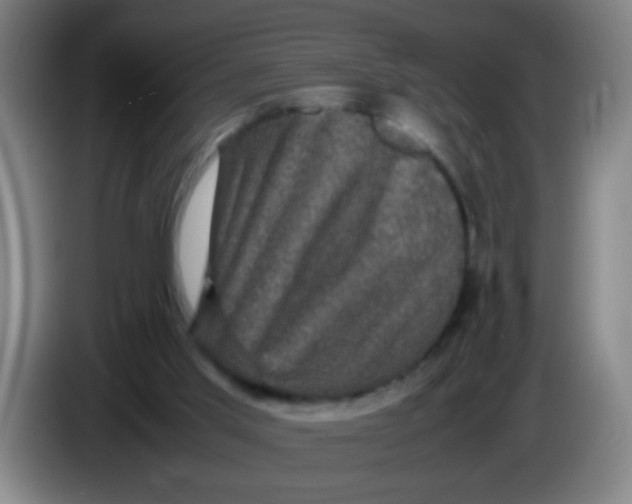 X0000085230013200703301735