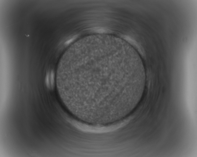X0000085230014200703301735
