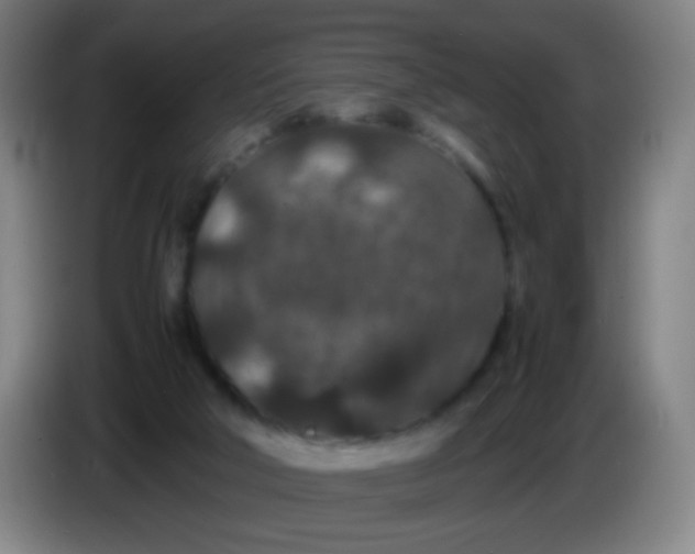 X0000085230018200703301735