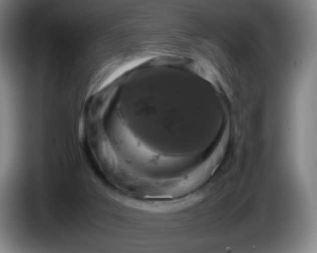 X0000085230019200703301735