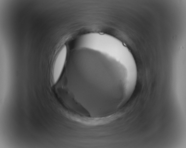 X0000085230023200703301735