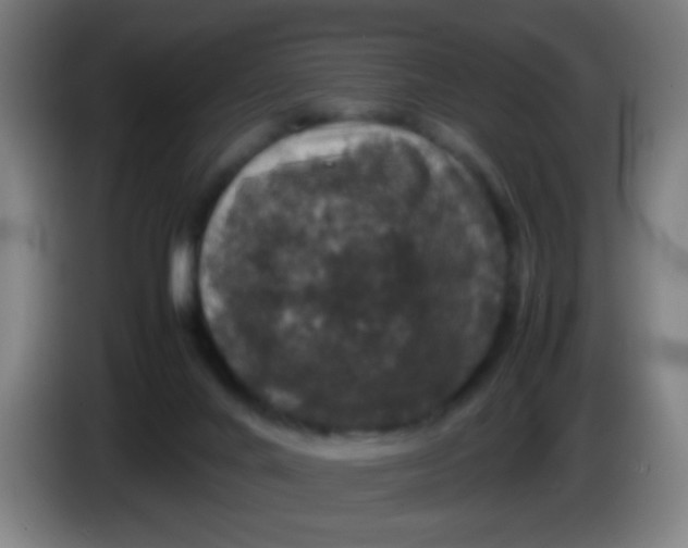 X0000085230024200703301735