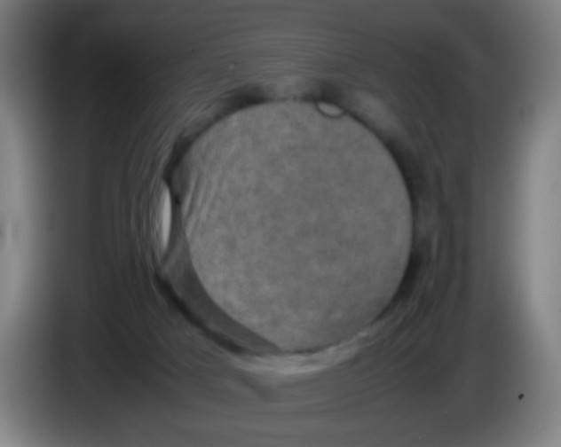 X0000085230025200703301735