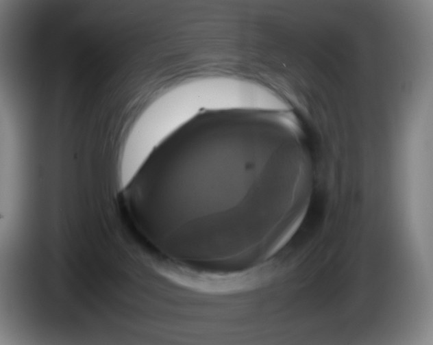 X0000085230027200703301735