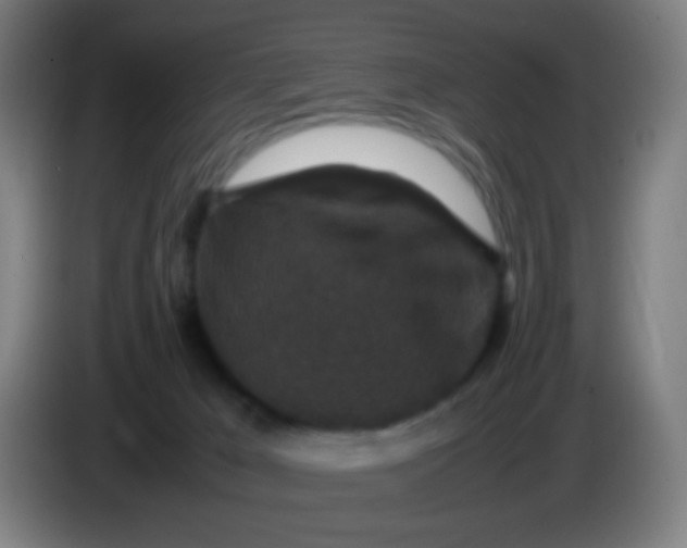 X0000085230029200703301735