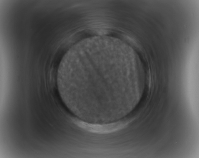 X0000085230030200703301735