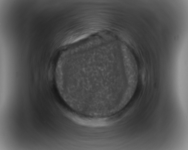 X0000085230032200703301735