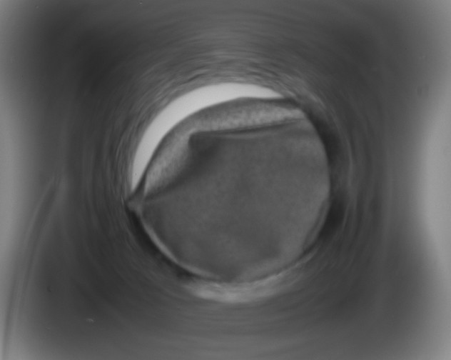 X0000085230033200703301735
