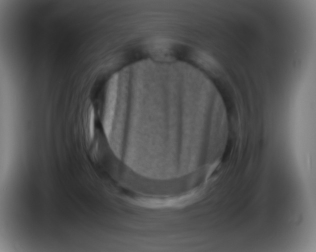 X0000085230037200703301735