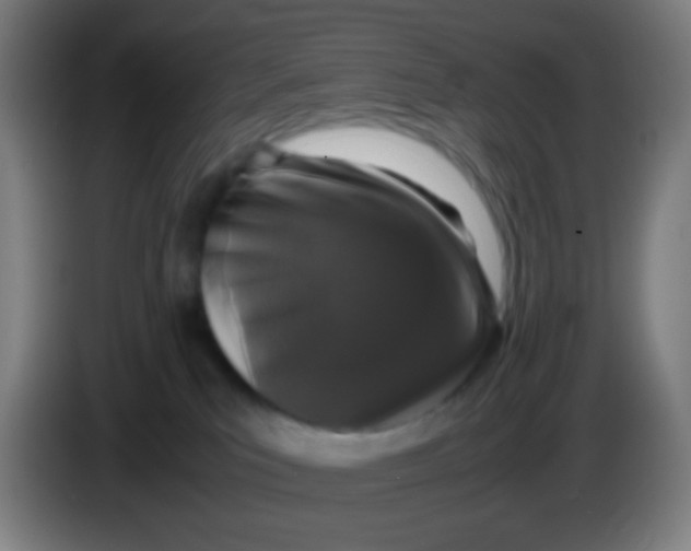 X0000085230039200703301735