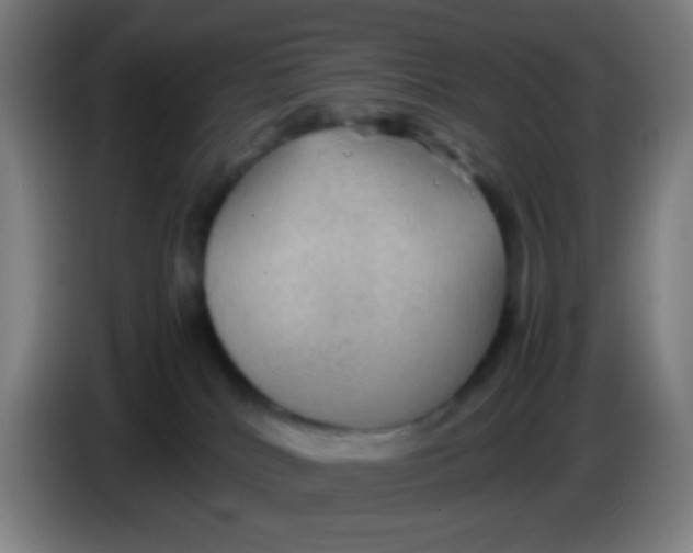 X0000085230040200703301735