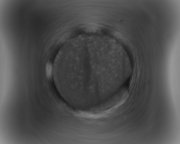 X0000085230041200703301735