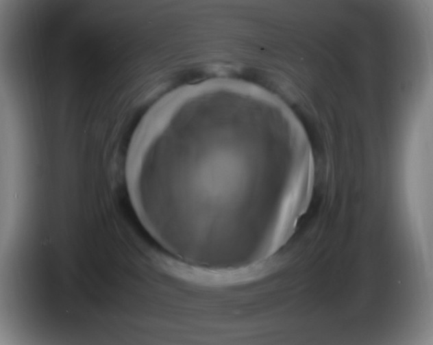 X0000085230043200703301735