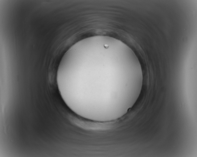 X0000085230044200703301735