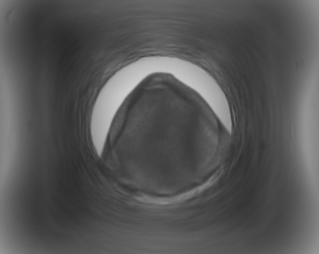 X0000085230045200703301735