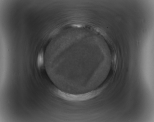X0000085230046200703301735