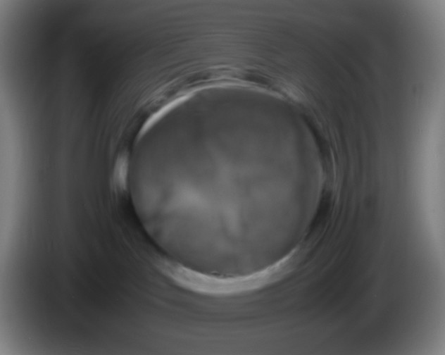 X0000085230047200703301735