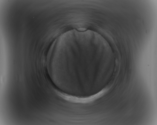 X0000085230048200703301735