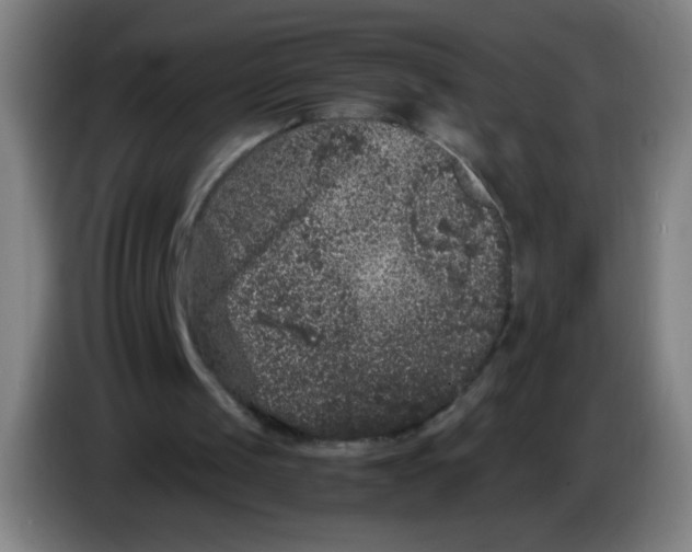 X0000085230049200703301734