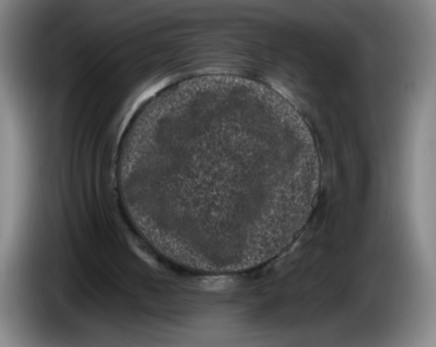 X0000085230050200703301734
