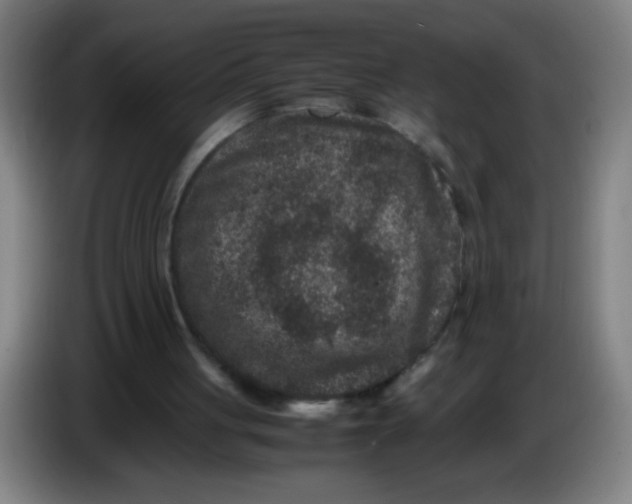 X0000085230051200703301734
