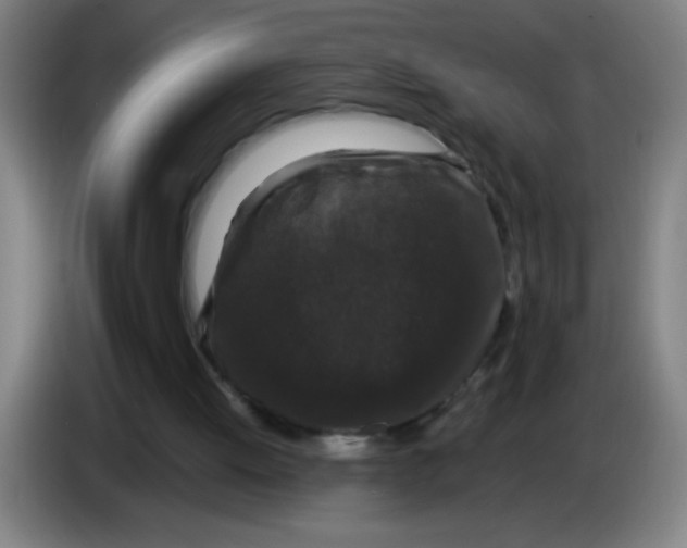 X0000085230052200703301734