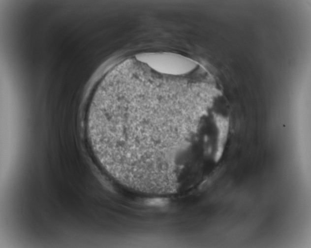 X0000085230053200703301734