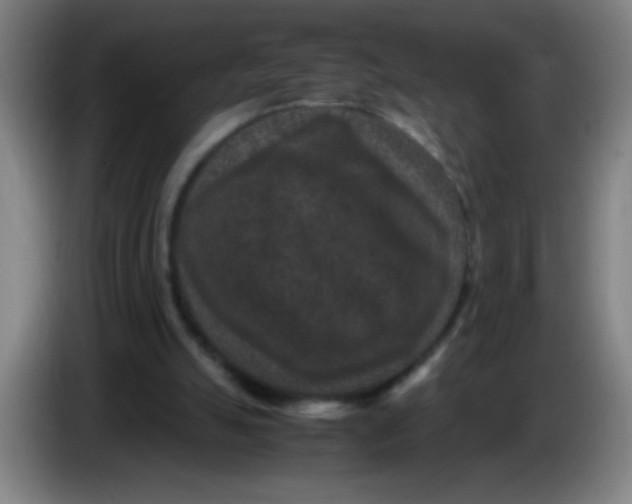 X0000085230055200703301734