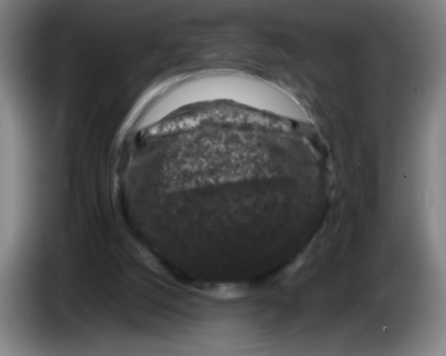 X0000085230056200703301734
