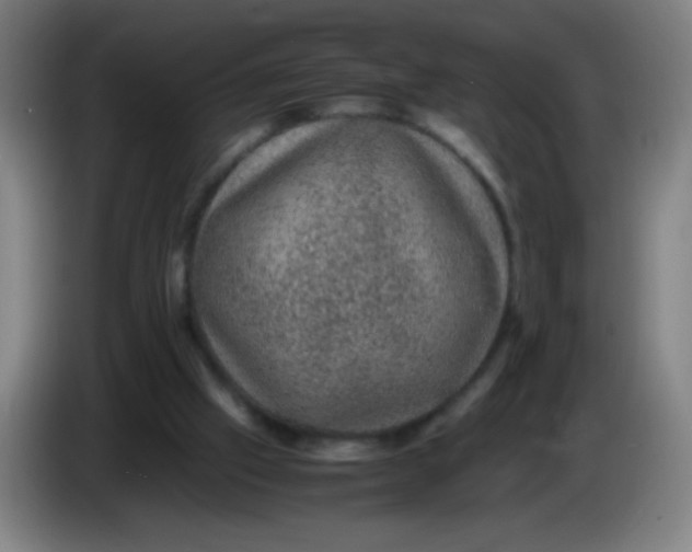 X0000085230057200703301734