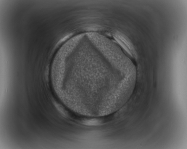 X0000085230058200703301734