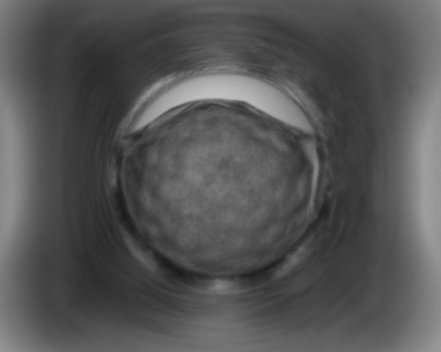 X0000085230060200703301734