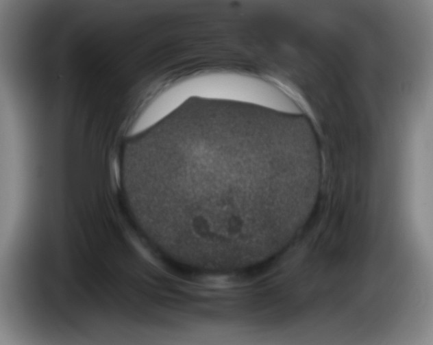 X0000085230061200703301734