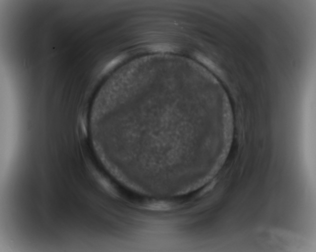 X0000085230062200703301734