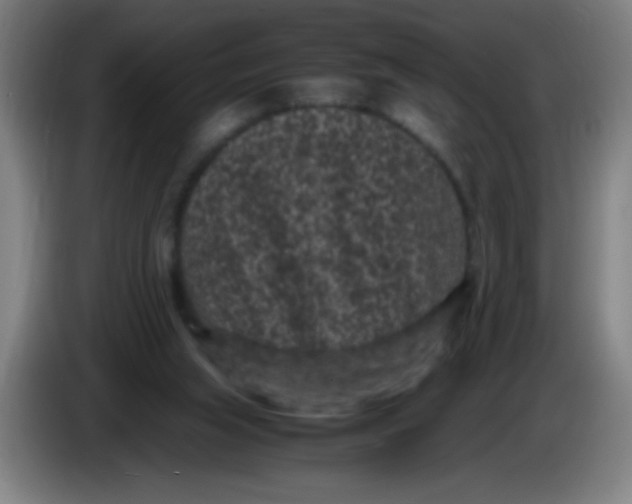 X0000085230063200703301734