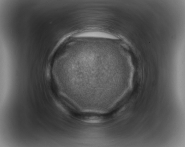 X0000085230064200703301734