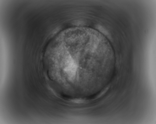 X0000085230065200703301734