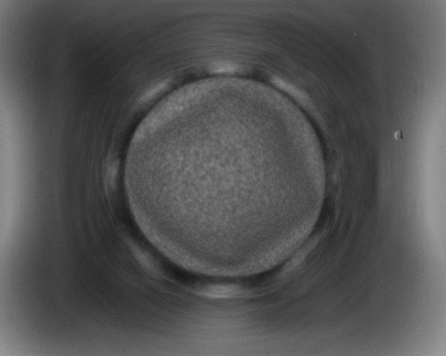 X0000085230066200703301734